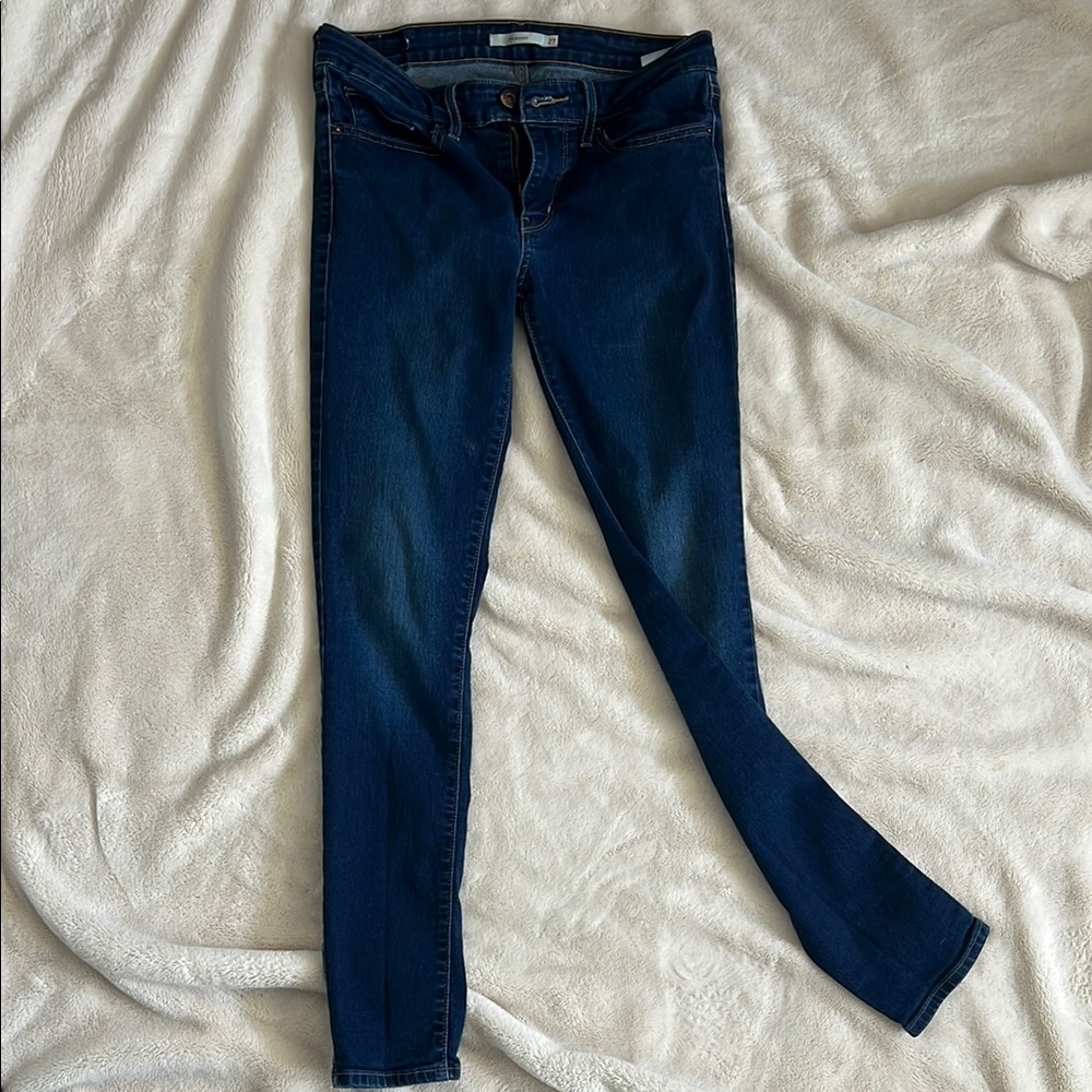 Levi's Blue Skinny Jeans Classic Fit